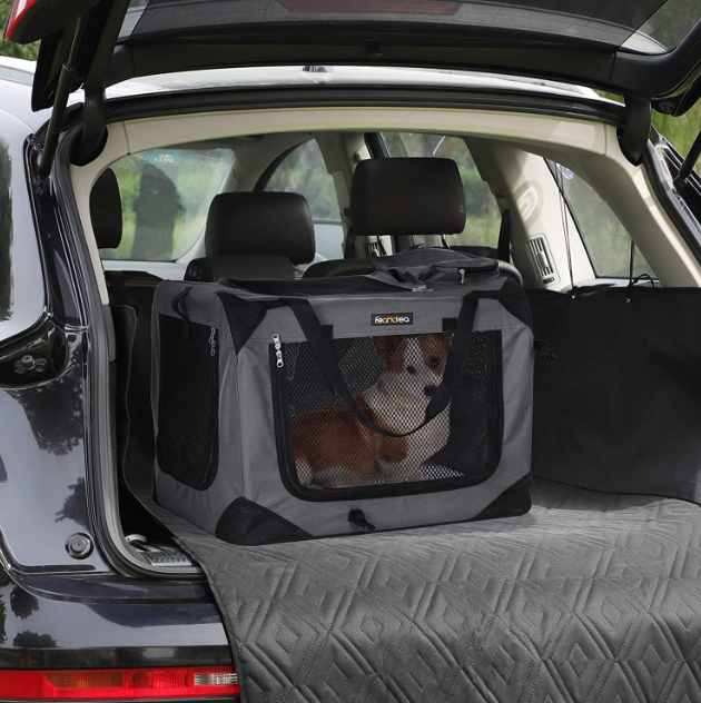 Sådan vælger du den rigtige transportkasse til din hund eller kat: 5 ting du skal vide