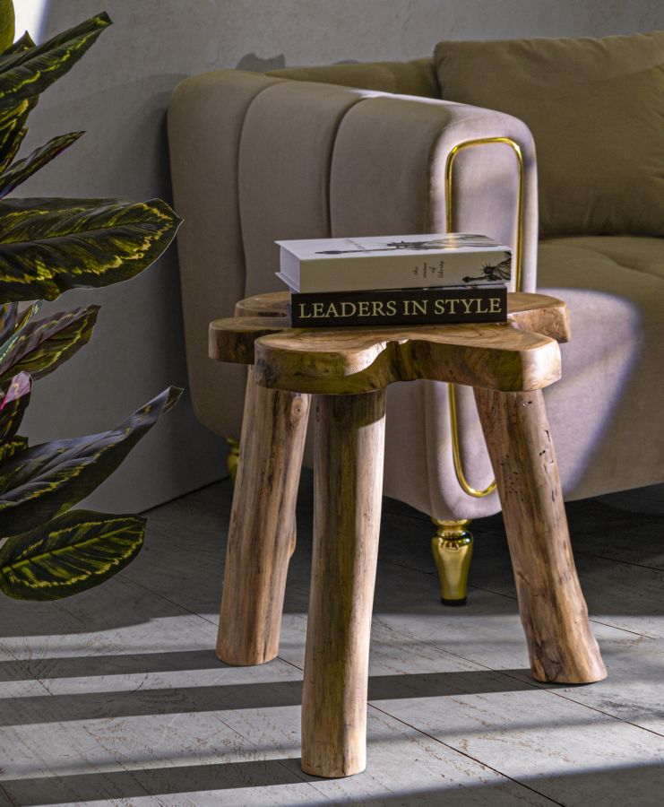 Bord, teaktræ – 50x47x50 cm