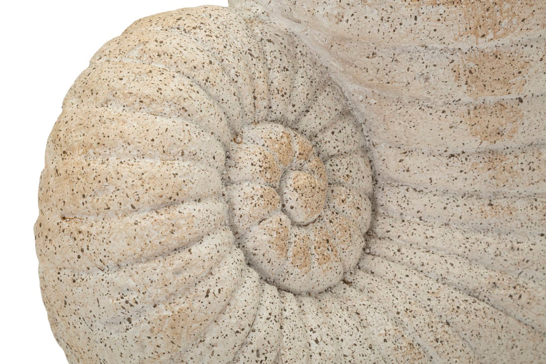 SHELL SAND VASE -A- CM 33X19X23 (ÅBNING CM Ø 13)