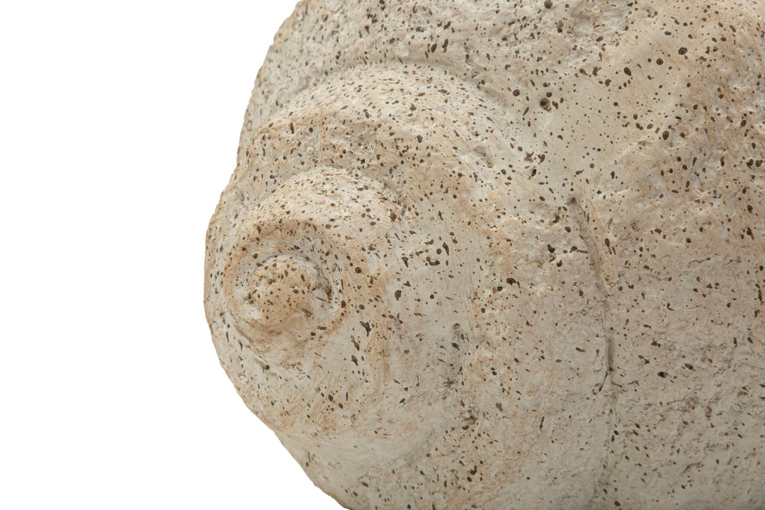 SHELL SAND VASE -B- CM 35X23X18 (ÅBNING CM Ø 17 x 14)