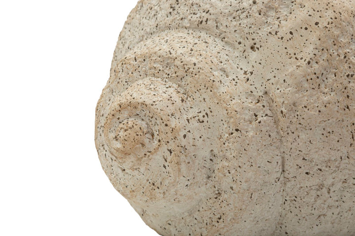 SHELL SAND VASE -B- CM 35X23X18 (ÅBNING CM Ø 17 x 14)