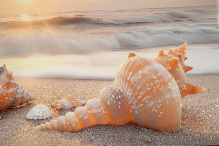 Lærredsprint Strand med ramme -B- (152 x 4 x 52 cm)