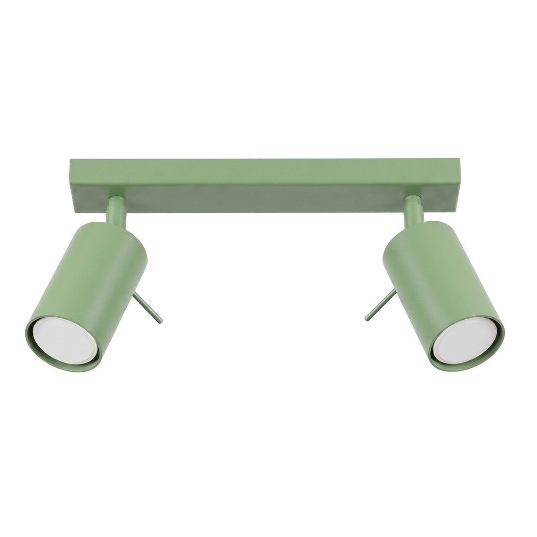 Loftlampe RING 2 salvie