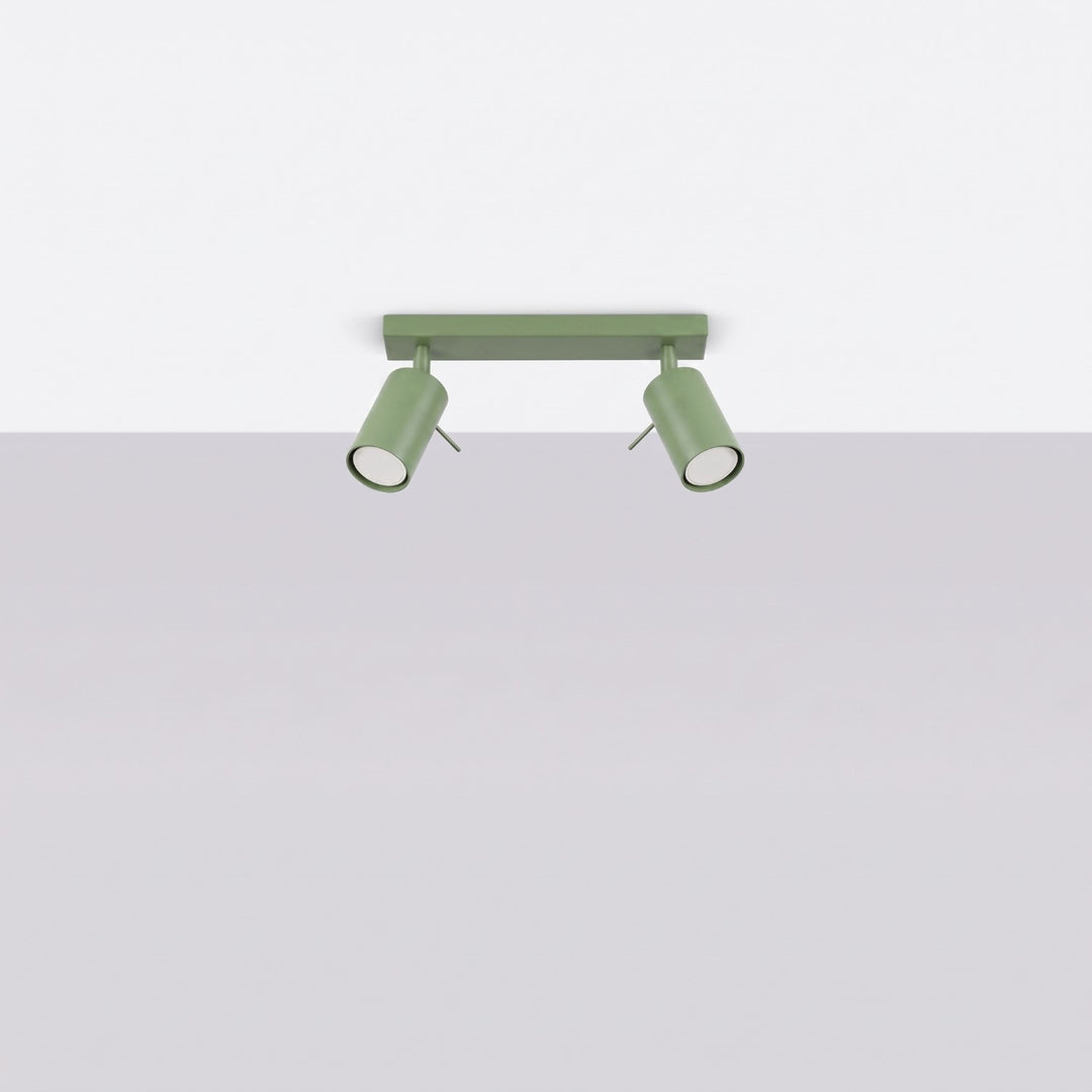 Loftlampe RING 2 salvie