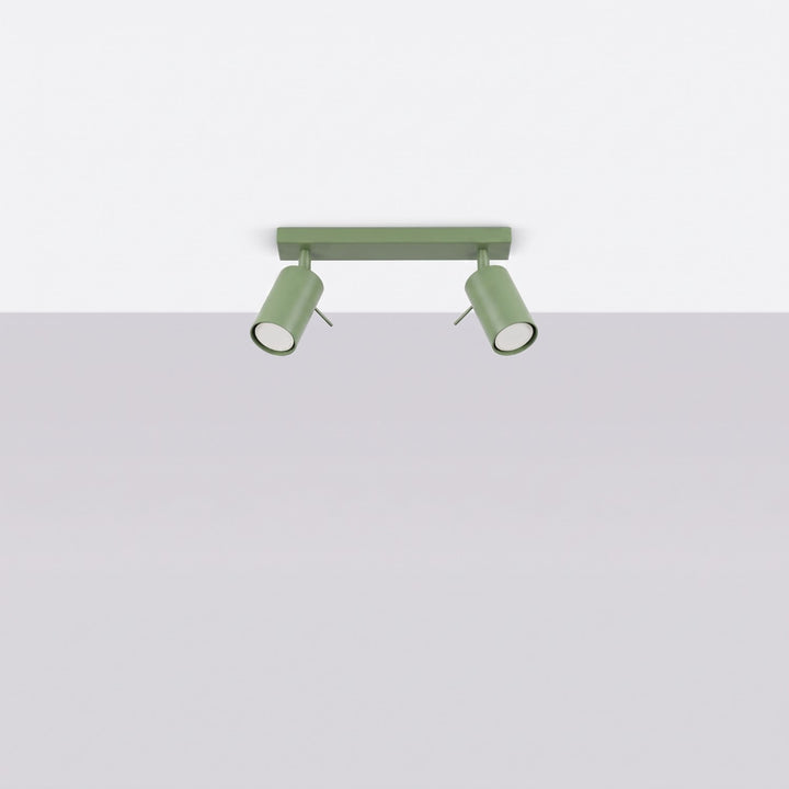 Loftlampe RING 2 salvie