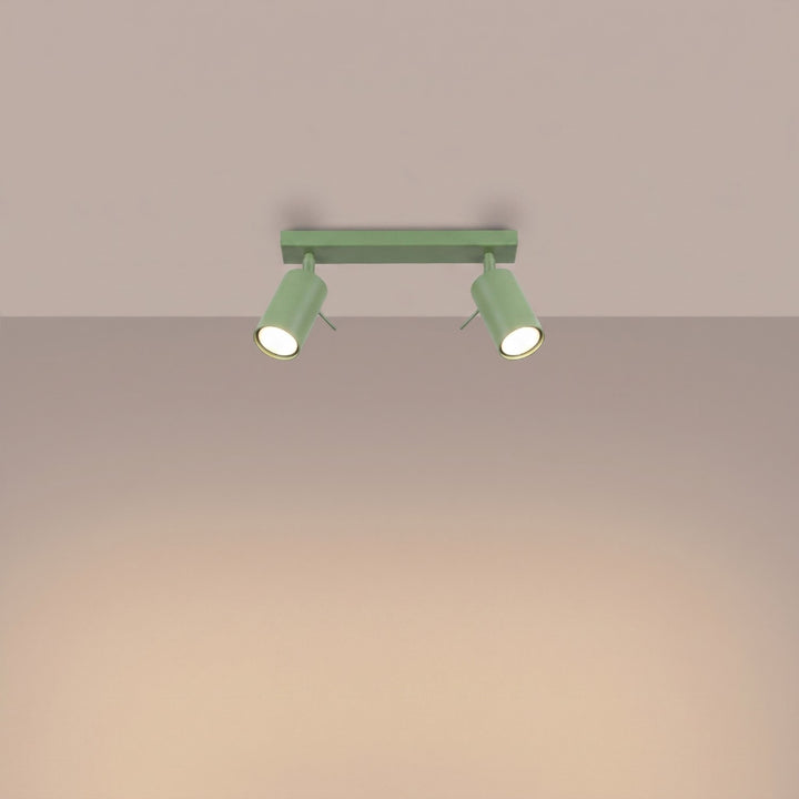 Loftlampe RING 2 salvie