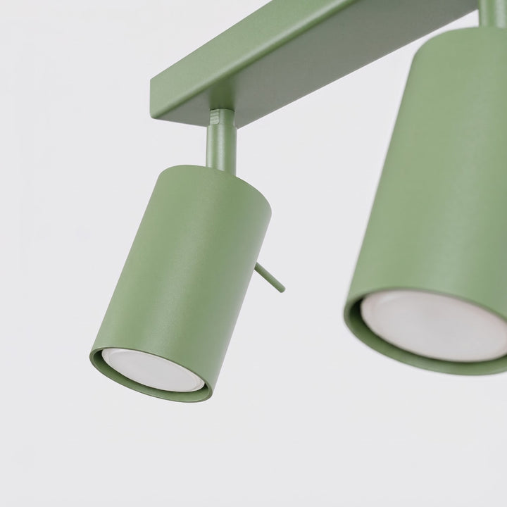 Loftlampe RING 2 salvie
