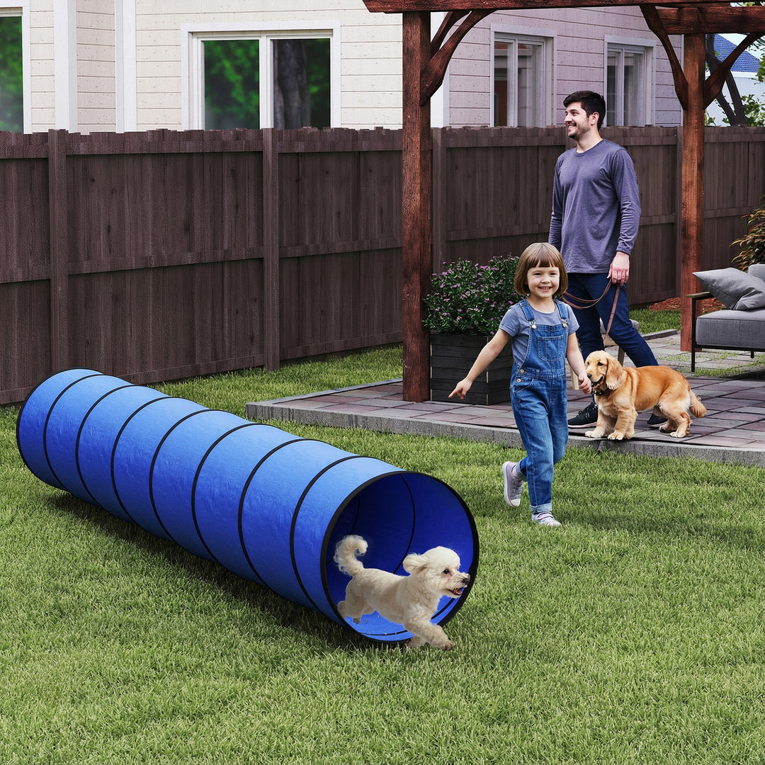 Agilitytunnel til hunde 300 x 50 cm. Hundetunnel med 4 jordankre. Bæretaske. Legetunnel til små og mellemstore hunde. Blå.