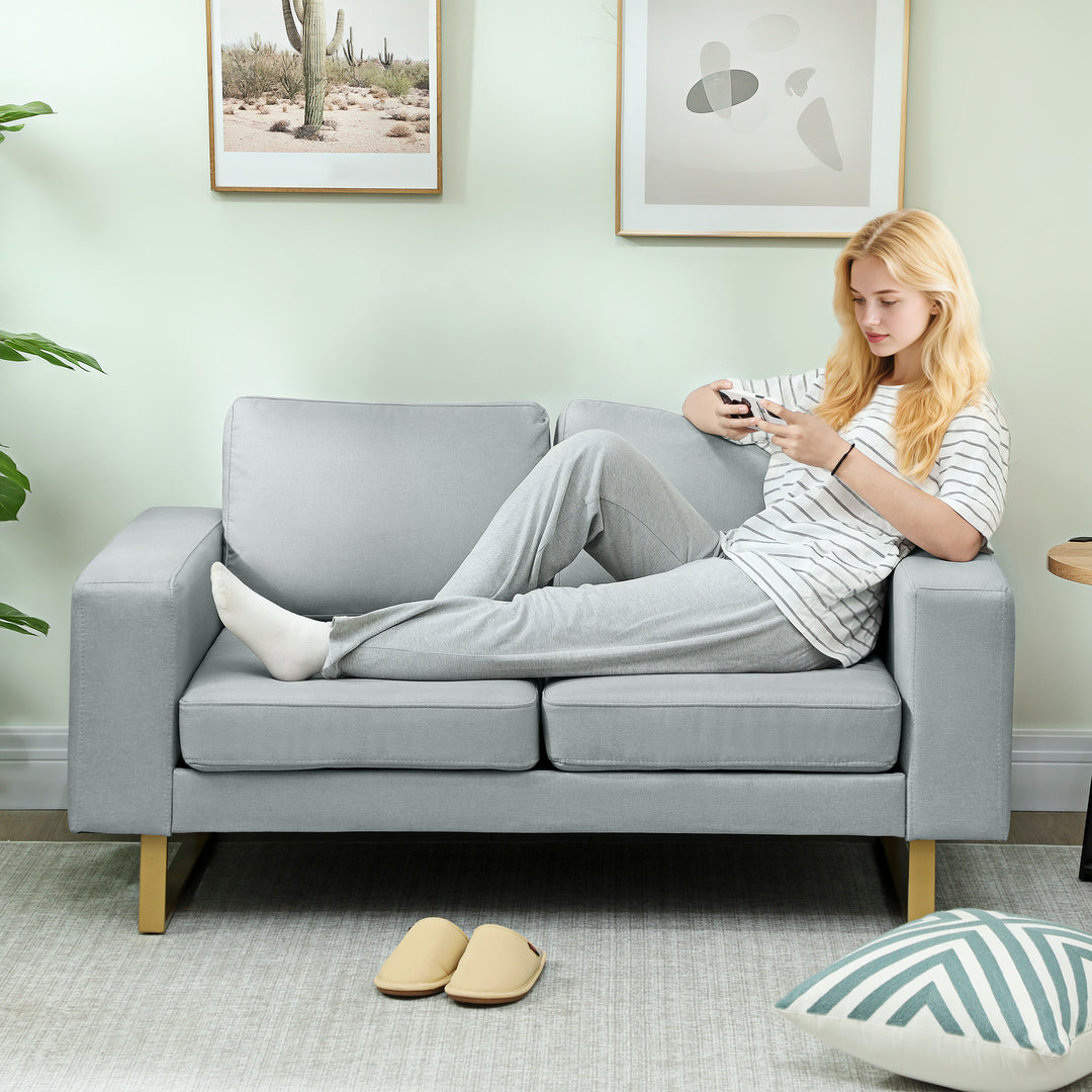 2-Personers sofa, sofa med massivt træstel, metalben, enkelt design, lysegrå