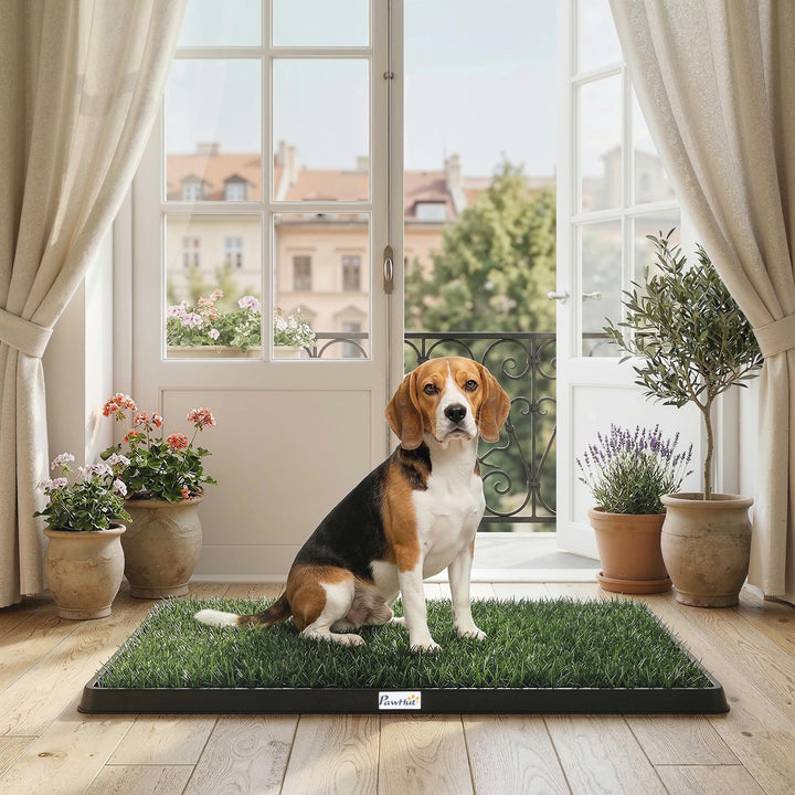 Hundetoilet 76 x 50,5 cm, hundetoilet med 2 vaskbare kunstgræsmåtter, hvalpetoilet til hunde til altan og hjem, sort+grøn