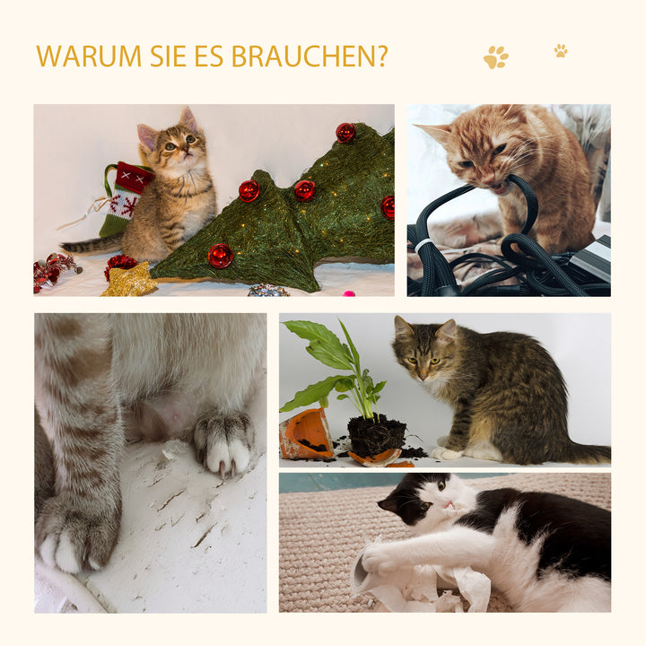 4-4.jpg