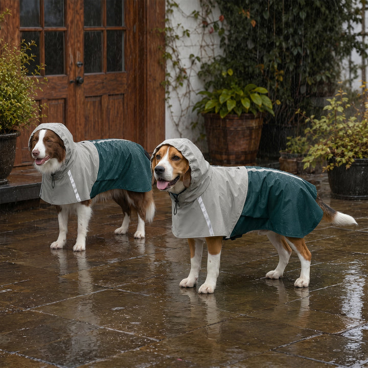 Vandtæt hunderegnjakke til mellemstore hunde