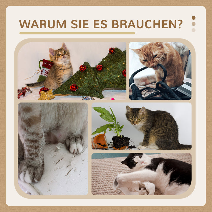 4-3.jpg