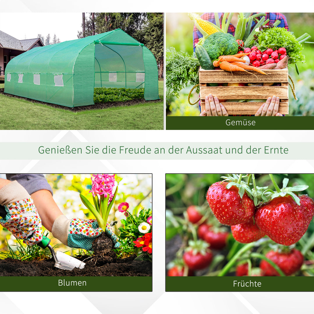Foliedrivhus, polytunnel, drivhus, kold ramme, plantehus, tomathus, gavltag, 595 × 300W × 200H cm