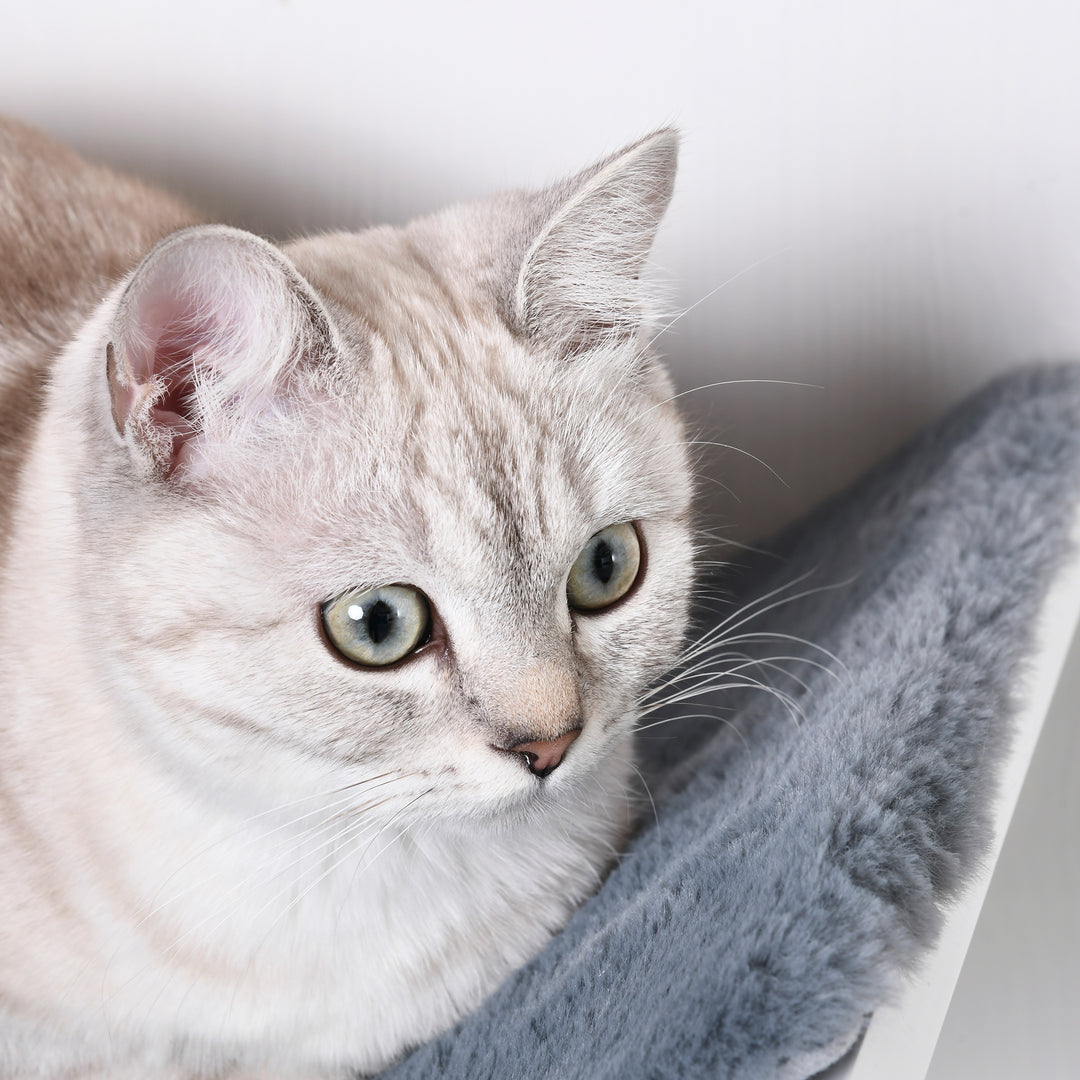 Katteseng væghængt katteseng kattehylde vægmonteret plyspude grå 41 x 28 x 21 cm