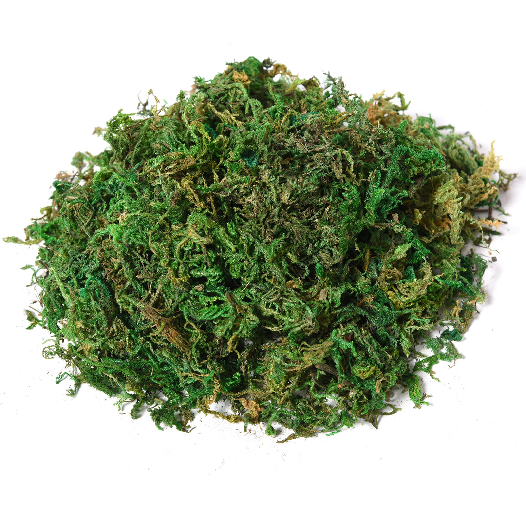 Kunstigt ficustræ stort 145 cm, kunstigt træ, kunstig plante, kunstige plastikplanter i potte, kunstig plante som ægte til stue soveværelse kontor have moderne dekoration gave