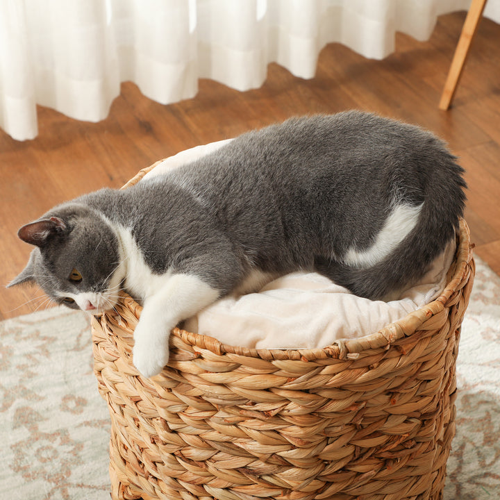 Kradsetønde, 50 cm, 2 huler, pude, kradsetræ med katteseng, vandhyacint kattetårn, lysebrun