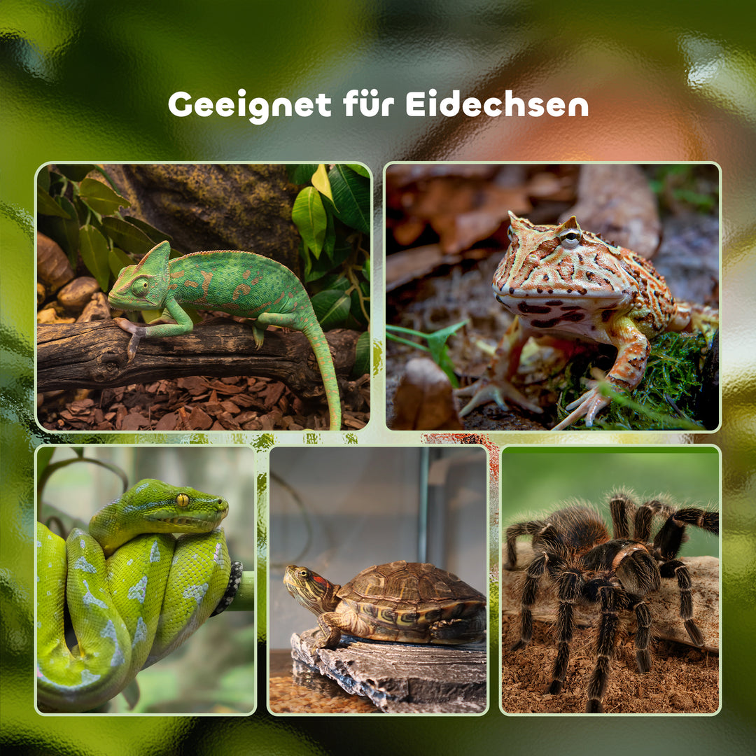 Terrarium til krybdyr, foderkasse til krybdyr, glasterrarium, padder, spindlere med termometer, krybdyravlskasse, metal, sort 50 x 30 x 35 cm