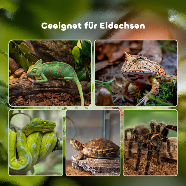 Terrarium til krybdyr, foderkasse til krybdyr, glasterrarium, padder, spindlere med termometer, krybdyravlskasse, metal, sort 50 x 30 x 35 cm