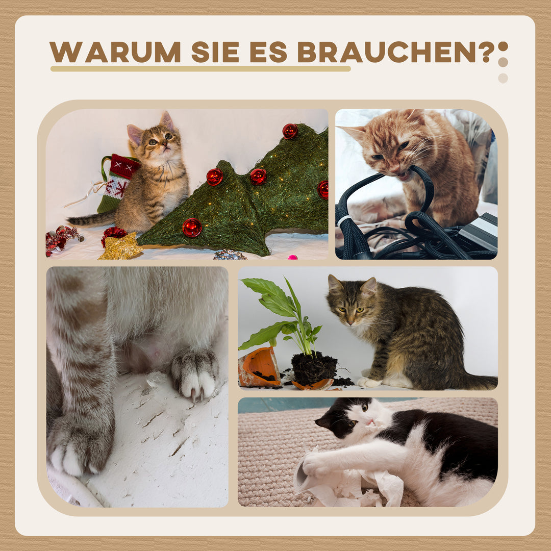 4-3.jpg