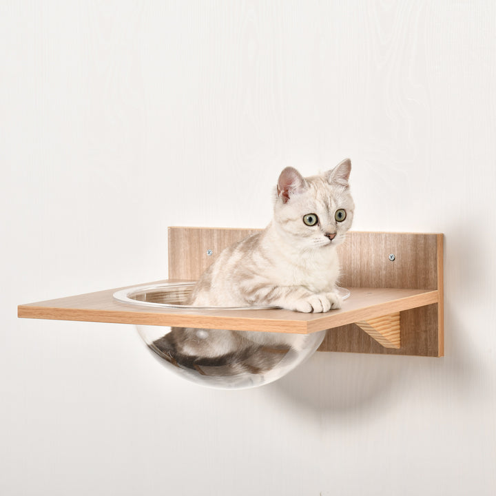 4-Delt klatrevæg til katte klatrevæg til katte med kradsetræ kattetrappe kattemøbler hængekøje lys brun sisal akryl fyr