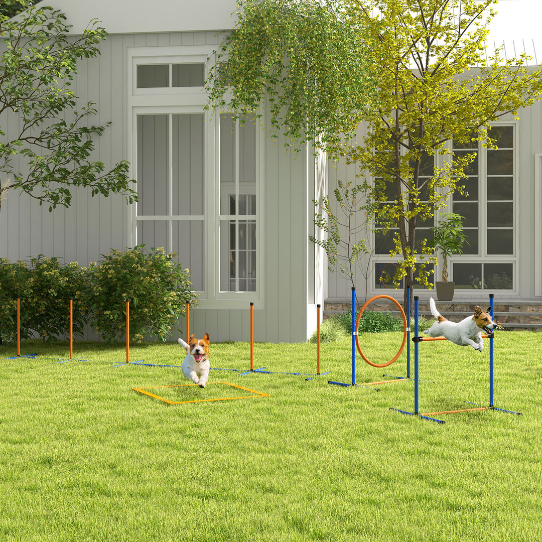 Hundeagilitysæt, forhindringsbane til hunde, 1 dæk, 1 hækkeløb, 1 slalomsæt, 352 cm x 66 cm x 69 cm, blå + rød