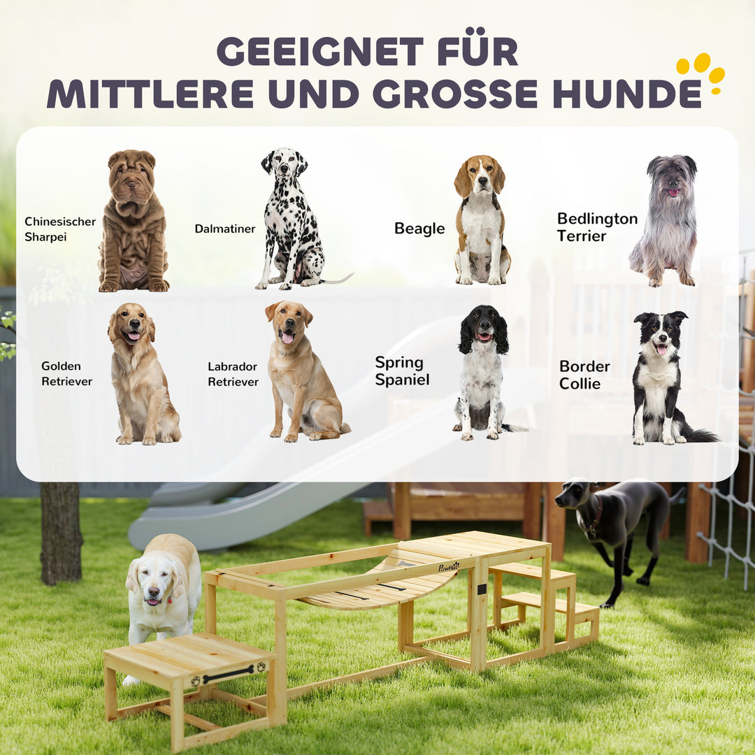 Agilitysæt til hunde, hundetræningsstruktur med bro, trappe, platform, fyrretræ, til store hunde op til 40 kg