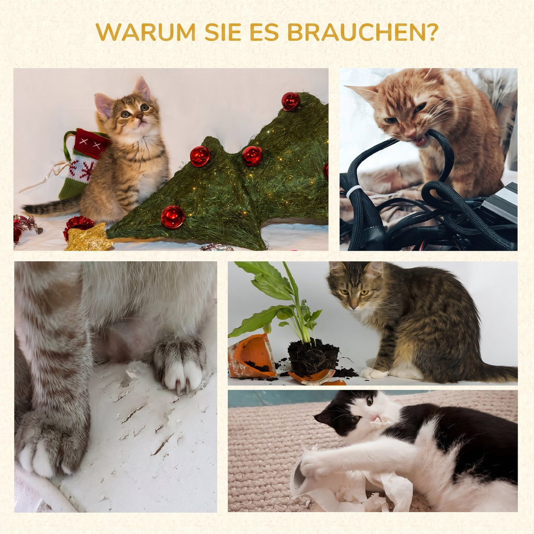 4-3.jpg