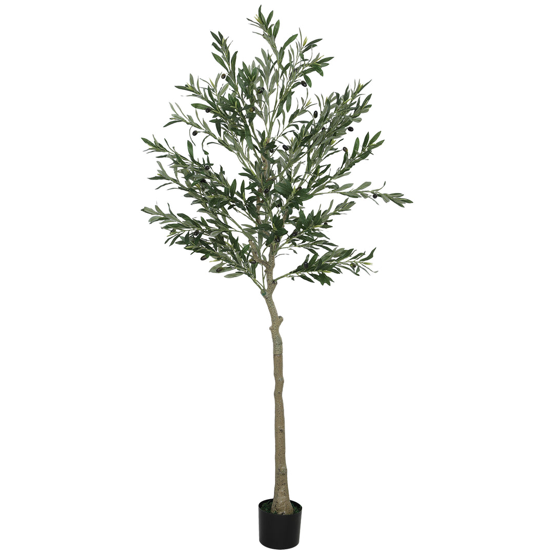 1-0.jpg