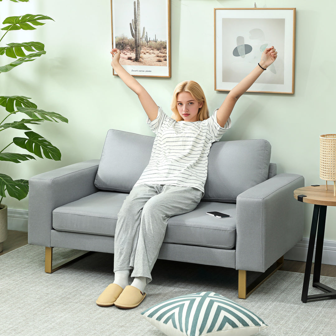 2-Personers sofa, sofa med massivt træstel, metalben, enkelt design, lysegrå