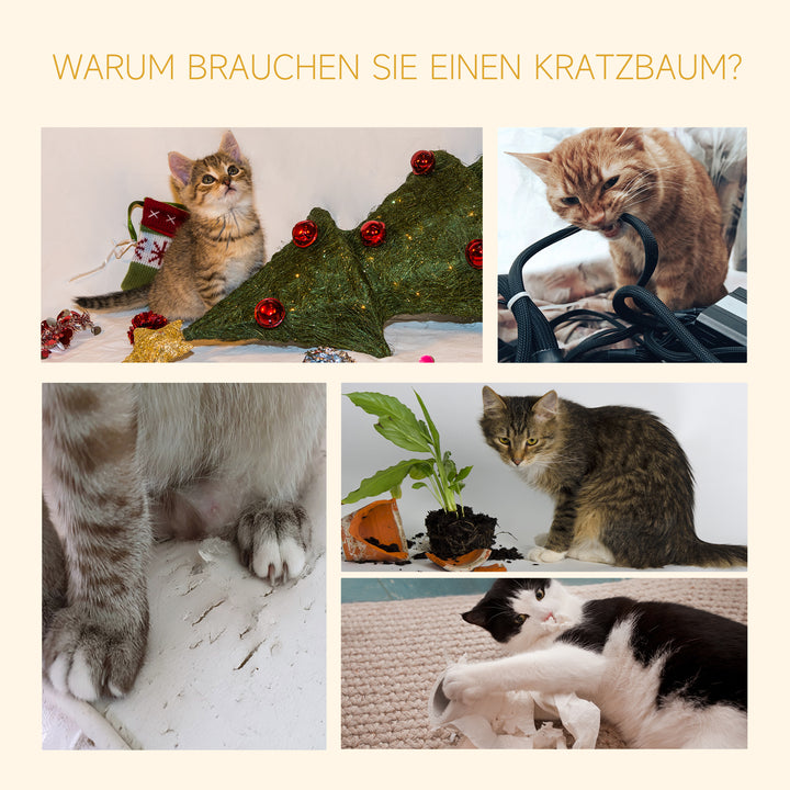 4-4.jpg