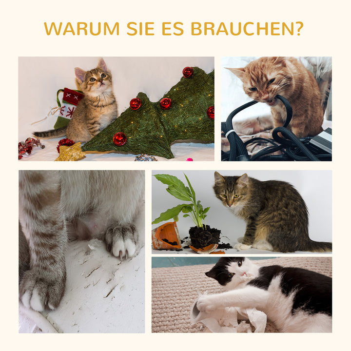 4-3.jpg
