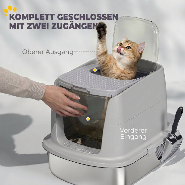 4-2.jpg