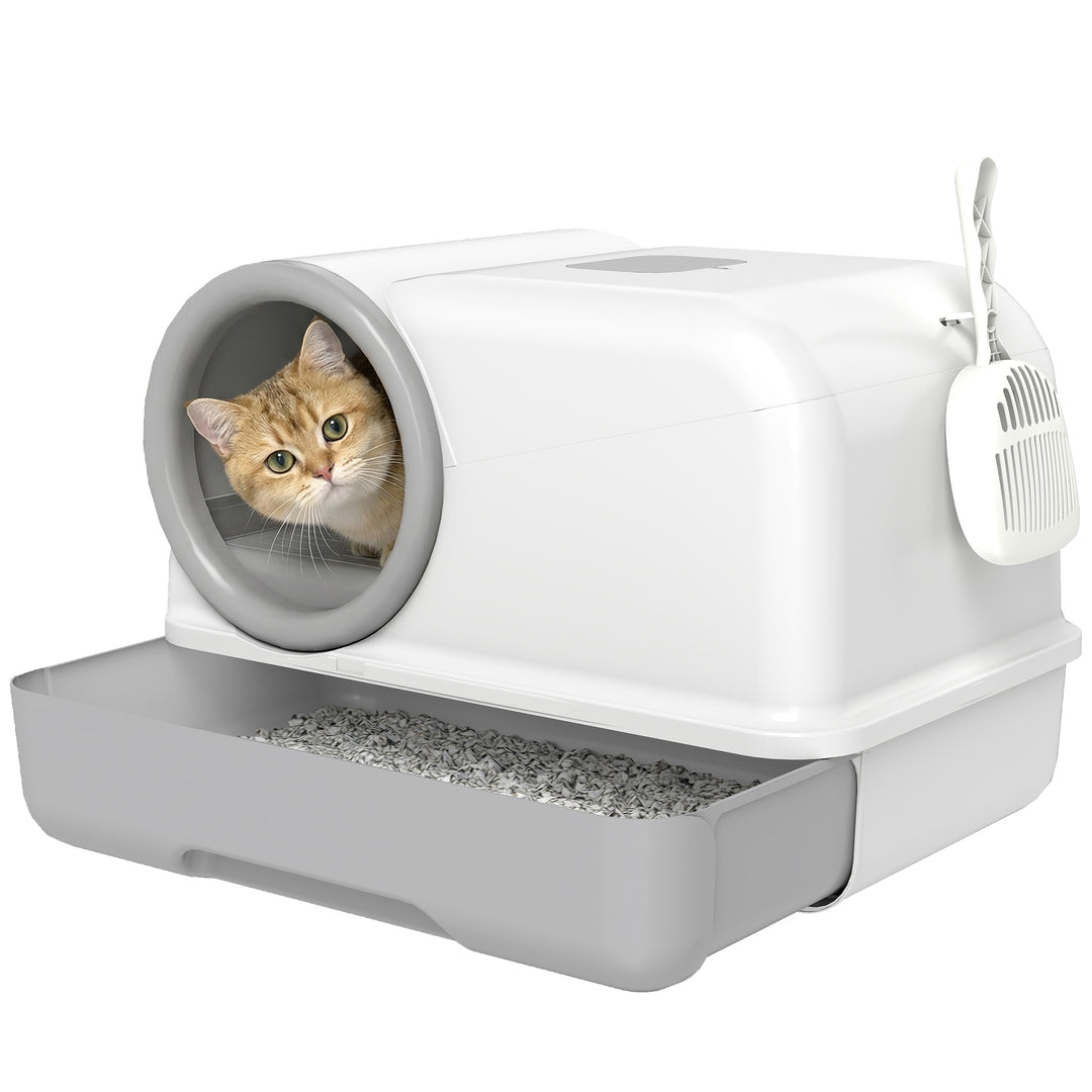 1-1.jpg