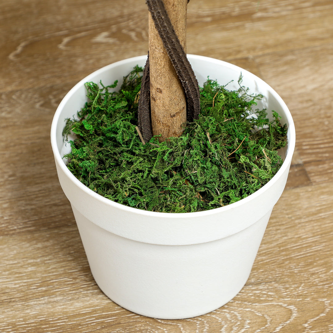 Kunstigt træ i solen, kunstig plante i cementpotte, kunstig plante