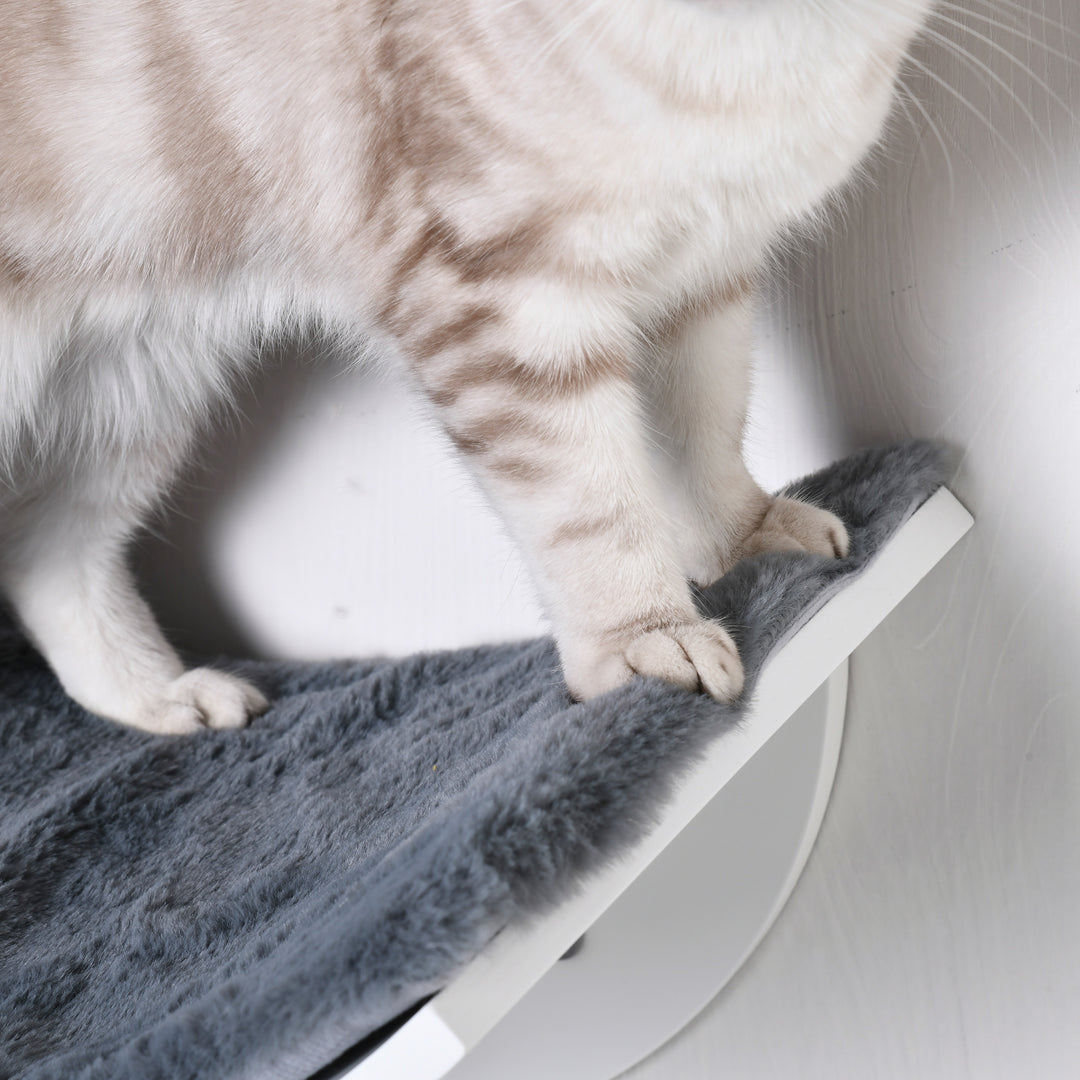 Katteseng væghængt katteseng kattehylde vægmonteret plyspude grå 41 x 28 x 21 cm