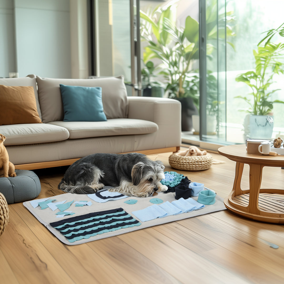 Hundetæppe, komfortabelt, dekorative elementer, 74x50x5cm, flerfarvet