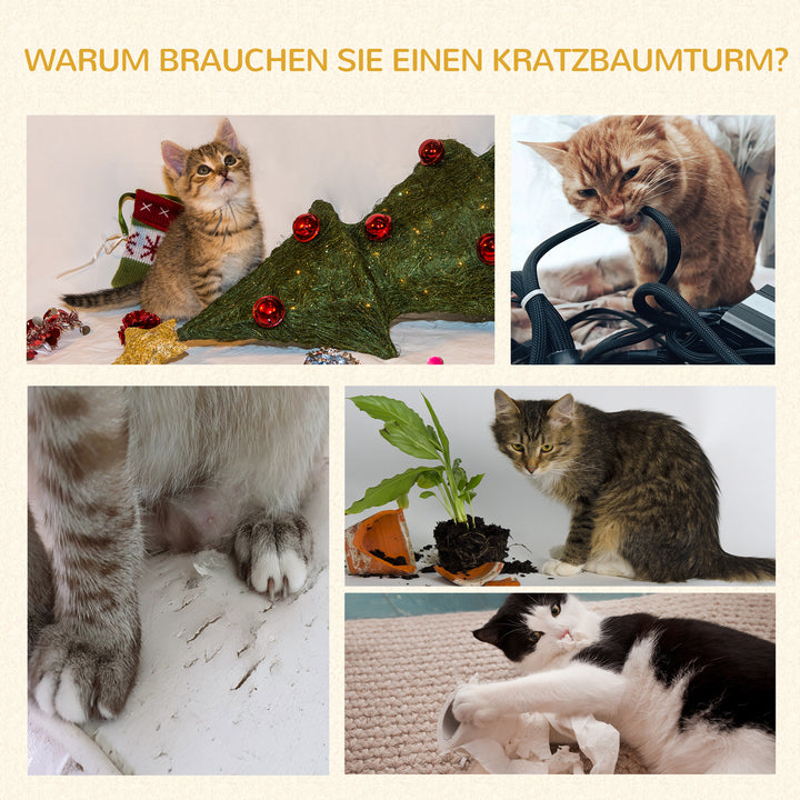 4-4.jpg