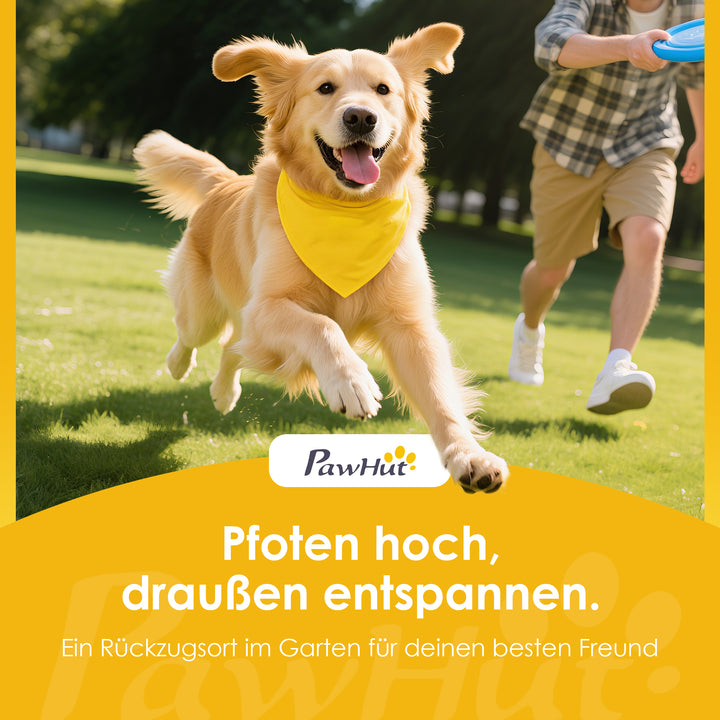 5-2.jpg