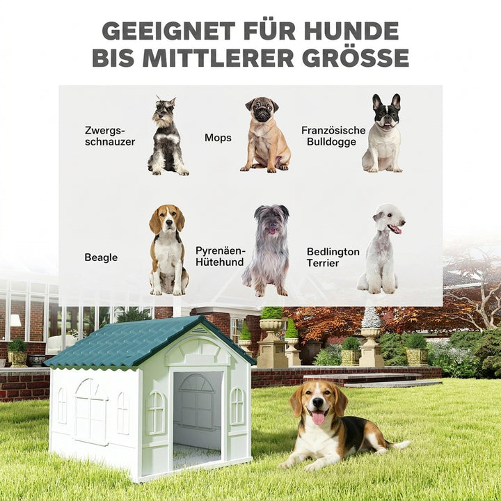 4-4.jpg