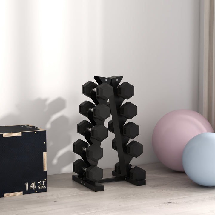 Håndvægtstativ til 10 håndvægte, 5 niveauer, robust stålramme, op til 100 kg, sort, 66 x 35 x 33 cm