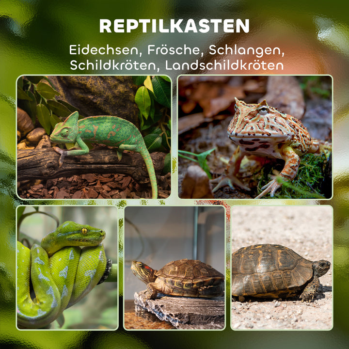 Terrarium, glasindkapsling, aflåselig, kabelhåndtering, 45x45x60cm, sort