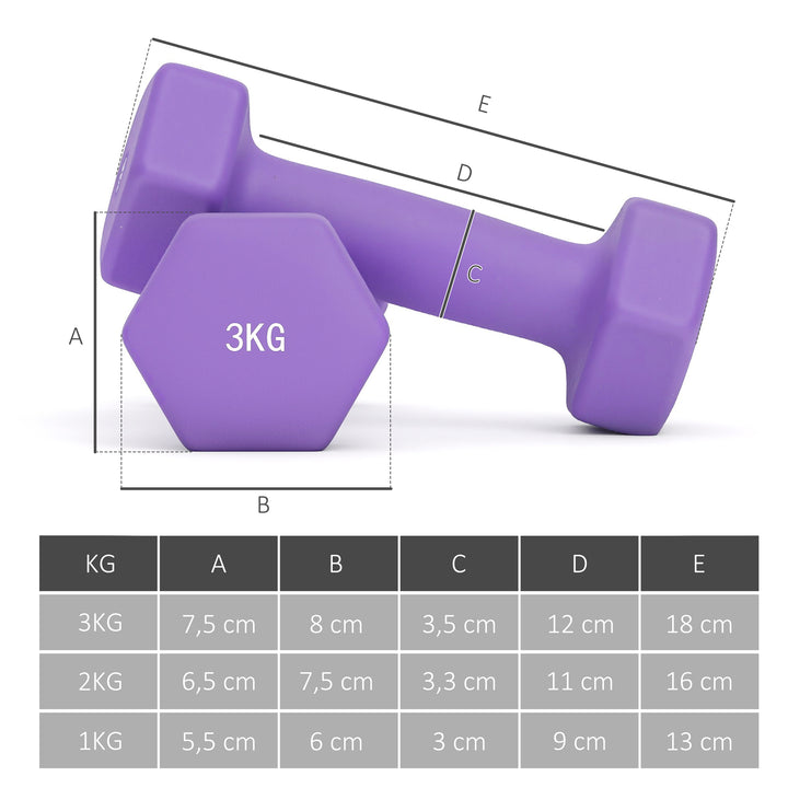 Håndvægtsæt med opbevaringsstativ, sæt med 6 håndvægte til fitnesstræning, 2 x 1 kg, 2 x 2 kg, 2 x 3 kg