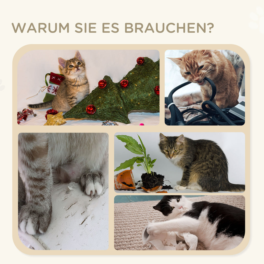 4-3.jpg