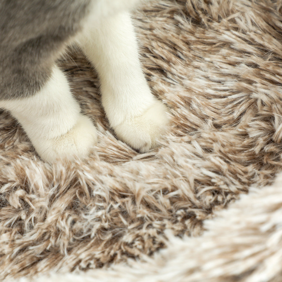 Kradsetræ, 87 cm, kattetårn med tyk kradsetræ, plysseng, indendørs, understøtter op til 6 kg, brun