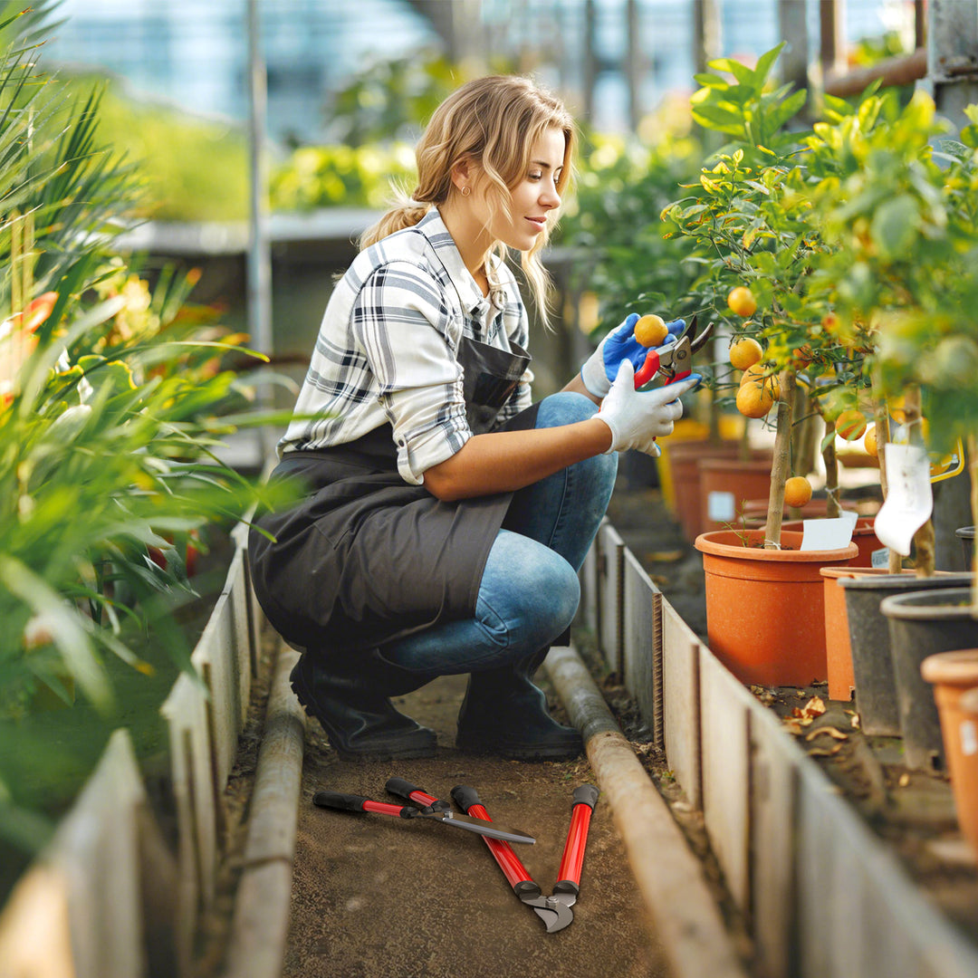 Hækkeklippersæt 3-delt havesaks, beskæresaks med stålklinger, håndtag