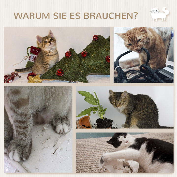 4-3.jpg