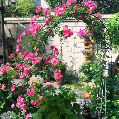 7,9 fod (ca. 2,4 m) høj havebue, espalier, buet ballonbue, klatreplante, metalrørsbue