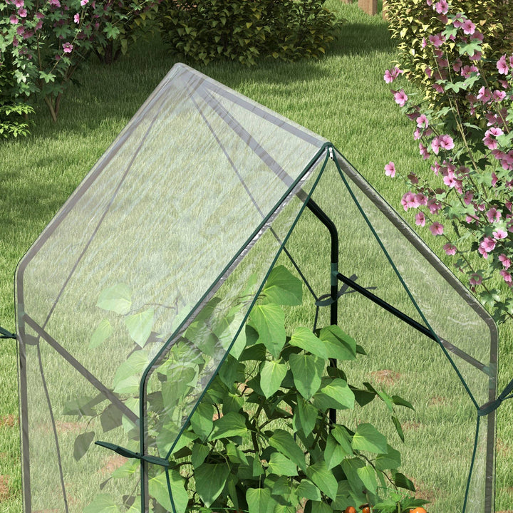 Drivhus/kold ramme/drivhus, 90 cm x 90 cm x 145 cm, transparent + sort