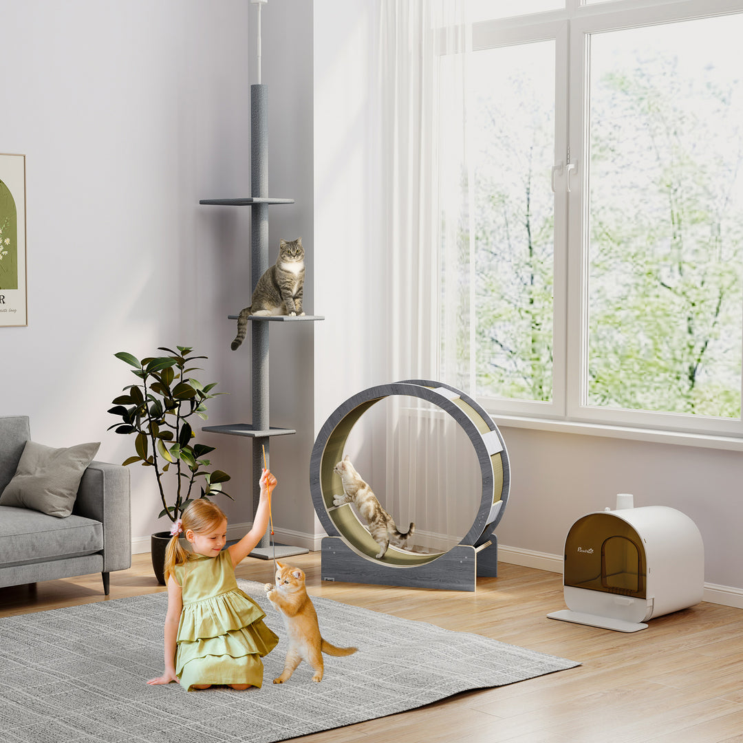 Kattetræningshjul, 91 cm kattetræningshjul med bremse og kradsemåtte, valnød